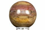 Colorful Petrified Wood (Araucaria) Sphere - Madagascar #323606-1